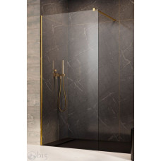 Душова перегородка RADAWAY Modo New Gold II 115 см. 389115-09-01