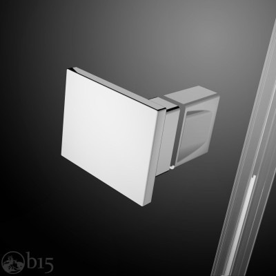 Душові двері RADAWAY Essenza DWJ 120 см 1385016-01-01L