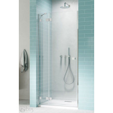 Душові двері RADAWAY Essenza Pro DWJ 100 см 10099100-01-01L