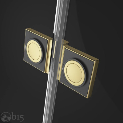 Душові двері RADAWAY Essenza Pro Gold DWJ 120 см 10099120-09-01L Душові двері RADAWAY Essenza Pro Gold DWJ 120 см 10099120-09-01L