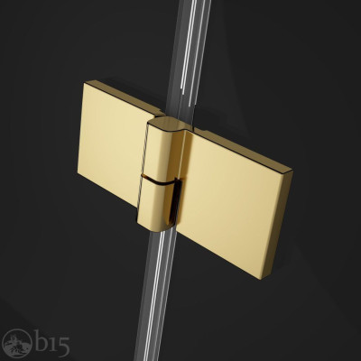 Душові двері RADAWAY Essenza Pro Gold DWJ 120 см 10099120-09-01R Душові двері RADAWAY Essenza Pro Gold DWJ 120 см 10099120-09-01R