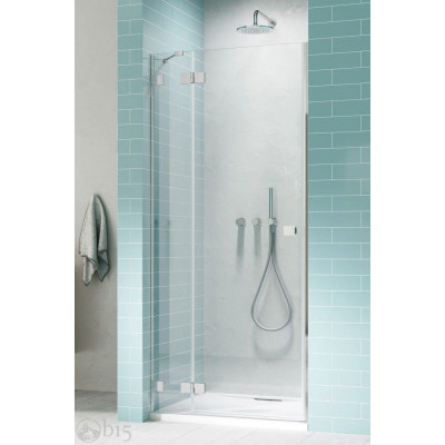 Душові двері RADAWAY Essenza Pro DWJ 120 см 10099120-01-01L