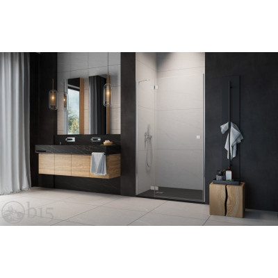 Душевая дверь RADAWAY Essenza DWJ 110 см 1385015-01-01L