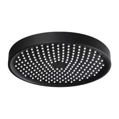 F016-25 лейка потолочная кругла 250mm черный (коробка) {20/1}