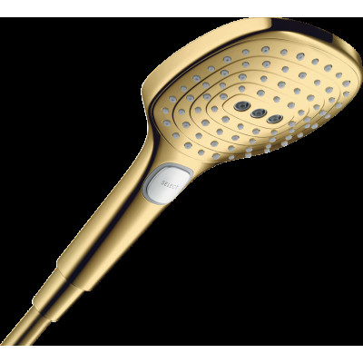 Ручний душ Raindance Select E 120 3jet Polished Gold Optic (26520990)