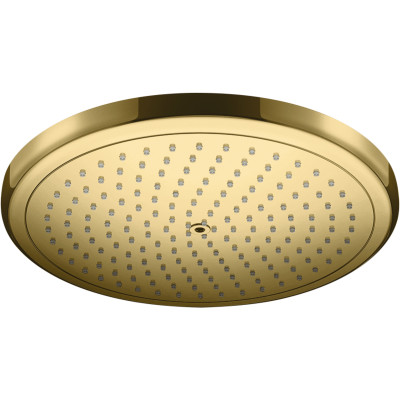 Верхний душ Croma 280 1jet Polished Gold Optic (26220990)