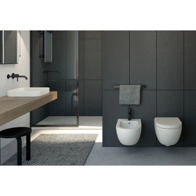 Крышка для унитаза Enjoy soft-close (CPVEJTF), CIELO