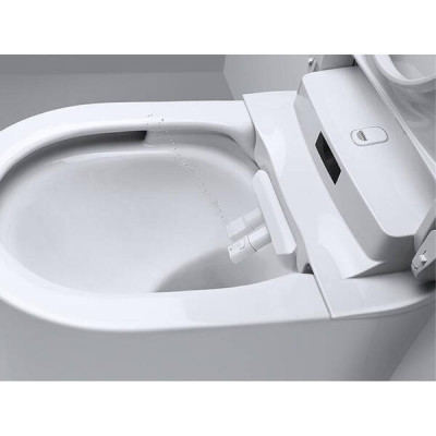 Унітаз-біде підвісний Grohe Sensia Arena 39354SH1 безобідковий Унітаз-біде підвісний Grohe Sensia Arena 39354SH1 безобідковий