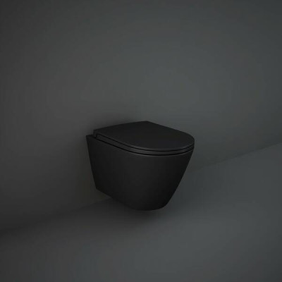 Кришка для унітазу RAK Ceramics Feeling Sanitaryware RSTSC3901504 Soft Close, Quick Release
