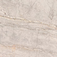 Керамогранит Porcelanosa Colorado Silver L 120x120(A) 100355035 120х120 см