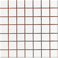 Плитка Ceramica Deseo Blanco brillo 2.5*2.5 20х20 см