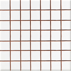Плитка Ceramica Deseo Blanco brillo 2.5*2.5 20х20 см