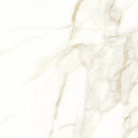 Calacatta Oro Білий 2G0580