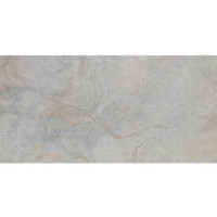 Керамограніт Porcelanosa Image Silver (A) 59,6x120 см