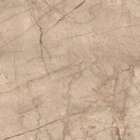 Керамограніт Almera Ceramica-2 Cv Fresh Brown 120x120 см
