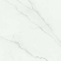 Керамогранит Alaplana Lincon Satinado Rect PP2304 100x100 см