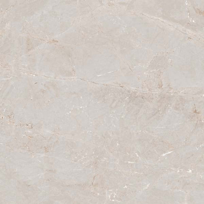 TULIP WHITE