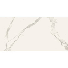 Керамограніт Almera Ceramica Carrara Gqw8321M Mat 60x120 см