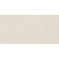Керамограніт Ape Ceramica Argillae Neve Rect 60x120 см