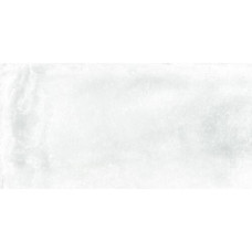 Керамограніт Almera Ceramica (Spain) Iron White 60х120 см