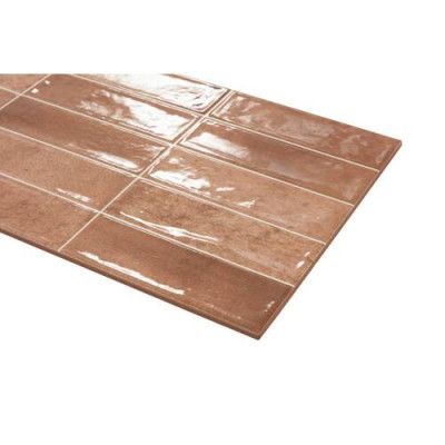 Плитка Ceramica Deseo Ec.Pool Cotto 31,6х60 см Плитка Ceramica Deseo Ec.Pool Cotto 31,6х60 см