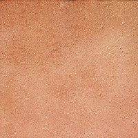 BASE_P VEGA ROJO C-1