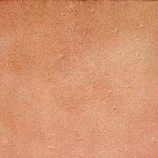 BASE_P VEGA ROJO C-1