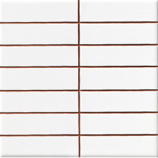 Плитка Ceramica Deseo Blanco brillo 2.5*10 20х20 см