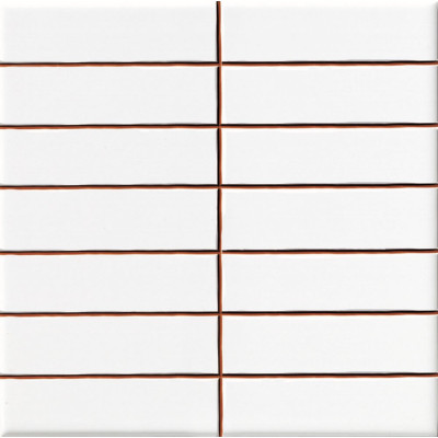 Плитка Ceramica Deseo Blanco brillo 2.5*10 20х20 см