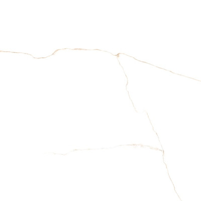 Керамический гранит Almera Ceramsca (Spain) Lab. Bianco Mare Gold 120x120 см