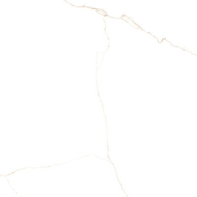 Керамический гранит Almera Ceramsca (Spain) Lab. Bianco Mare Gold 120x120 см