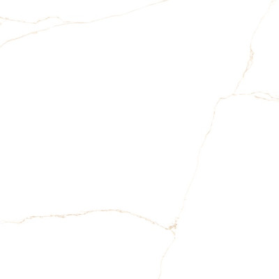 Керамический гранит Almera Ceramsca (Spain) Lab. Bianco Mare Gold 120x120 см