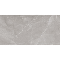 ASAM GRIS 30х60 (плитка для стен)