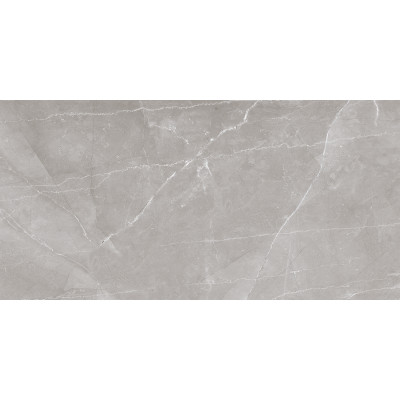 ASAM GRIS 30х60 (плитка для стен)