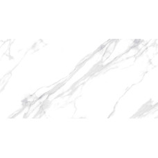 GLYSTER ANGEL GLOSSY INK (microshied) 60х120 (плитка для пола и стен)