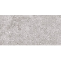 GOA SUGAR GRIS 30х60 (плитка настінна)