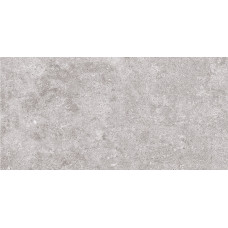 GOA SUGAR GRIS 30х60 (плитка настінна)