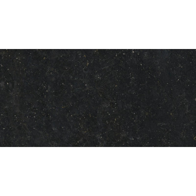 SPACE NANOTECH BLACK 60x120 (плитка для пола и стен)