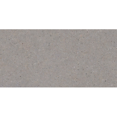BERGEN GREY 60x120 (плитка для пола и стен)