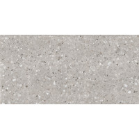 TERRAZZO GRIS 30х60 (плитка для стен)