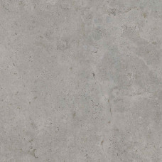 CAMPER GREY 120x120 (плитка для підлоги і стін)