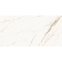 CALACATTA GOLD 60х120 (плитка для пола и стен)