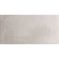 Плитка 60*120 Es.essen Ash Rect