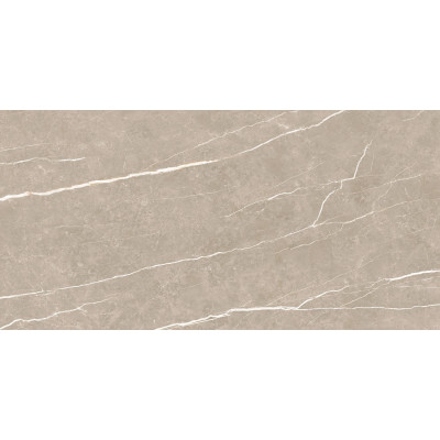 Плитка 60*120 Elite Greige Matt Rec