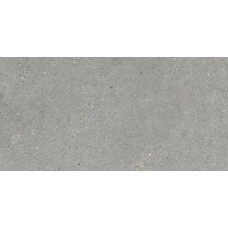 Плитка 60*120 Mitica Gris Rec.