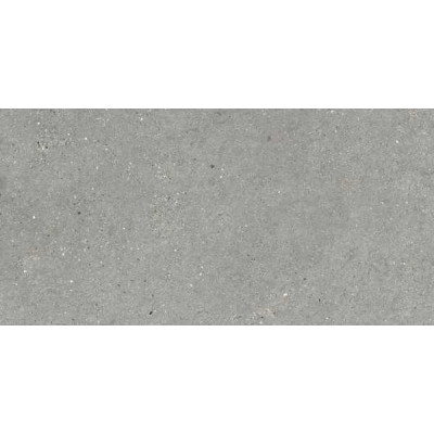 Плитка 60*120 Mitica Gris Rec.