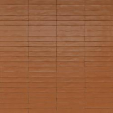 Плитка 5,3*30 Wish Brick Rcge