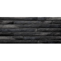 Клинкерная Плитка 4*49 Riegel Silver-Schwarz 7753.S453