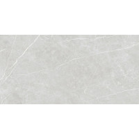 Плитка 60*120 Elite Silver Matt Rec