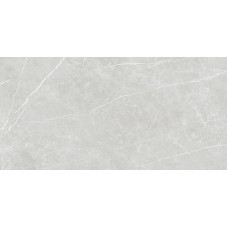 Плитка 60*120 Elite Silver Matt Rec
